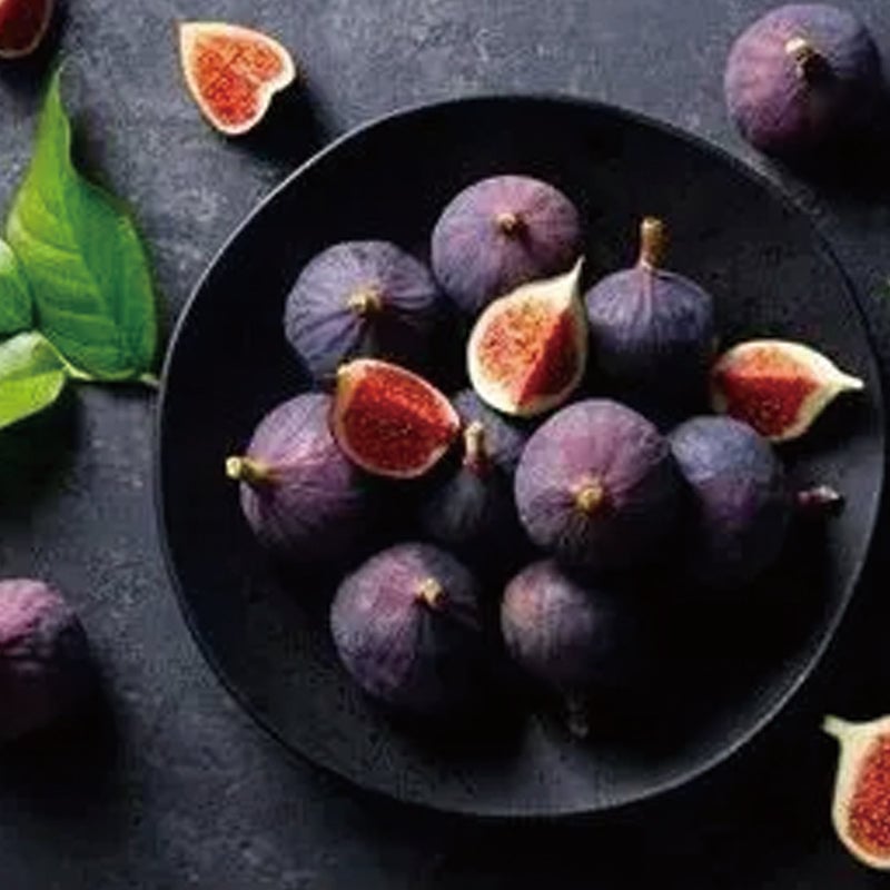 🏆 New Harvest🌿Brown Turkey Fig Seeds –High Yield & Easy to Grow (Container Friendly & 99% Germination)