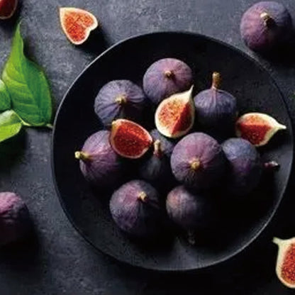🏆 New Harvest🌿Brown Turkey Fig Seeds –High Yield & Easy to Grow (Container Friendly & 99% Germination)