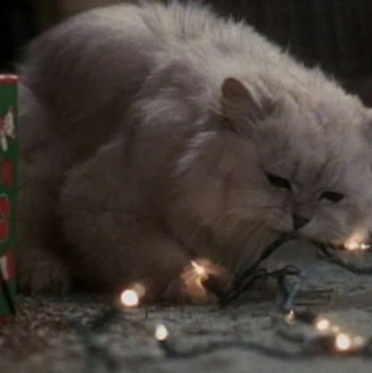 puffed up cat rug - Funny Christmas Gift