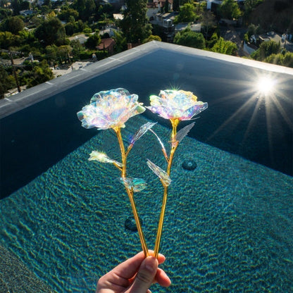 Cilifer®   💖🌹Limited Edition Crystal Rose
