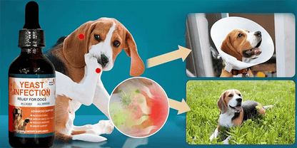 Puppy Yeast Relief Agent