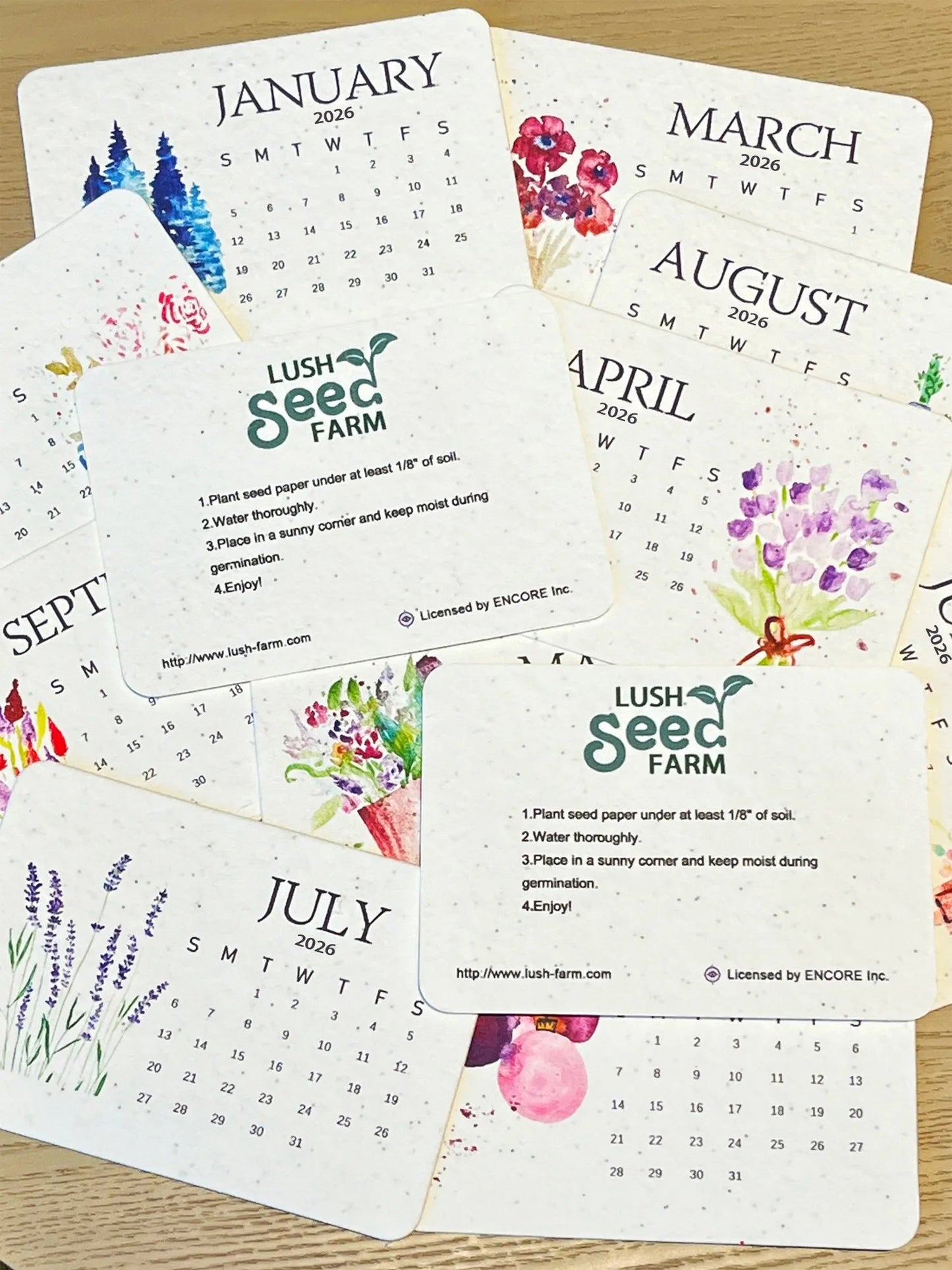 ✨New Arrivals 49% OFF Today🌱Eco-Friendly Plantable Love Seed Calendar 2026