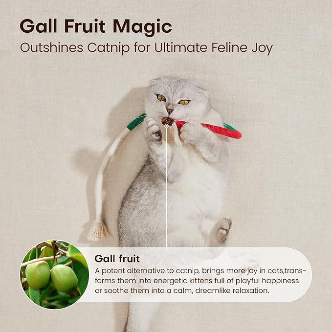 🔥😻 Chewing rope specially designed for cats