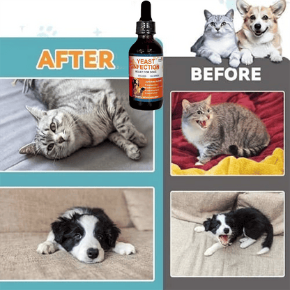 Puppy Yeast Relief Agent