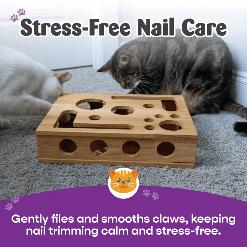 Cilifer®   🎁😻✨Cat Scratch Puzzle Enrichment Box: Nail File Stress Free Alternative to Clippers and Grinders