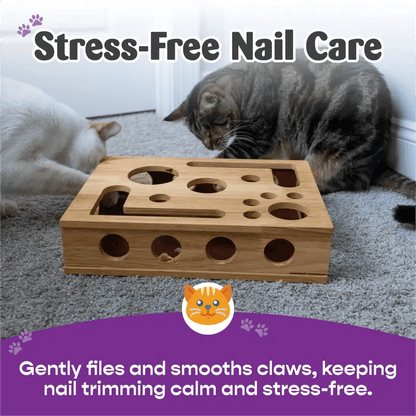 Cilifer®   🎁😻✨Cat Scratch Puzzle Enrichment Box: Nail File Stress Free Alternative to Clippers and Grinders