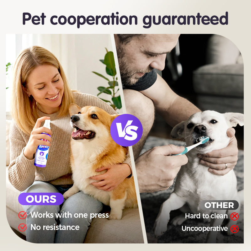 Cilifer®   🔥2026 New Arrivals: 50% Off for a Limited Time!🔥Teeth Cleaning Spray for Pets