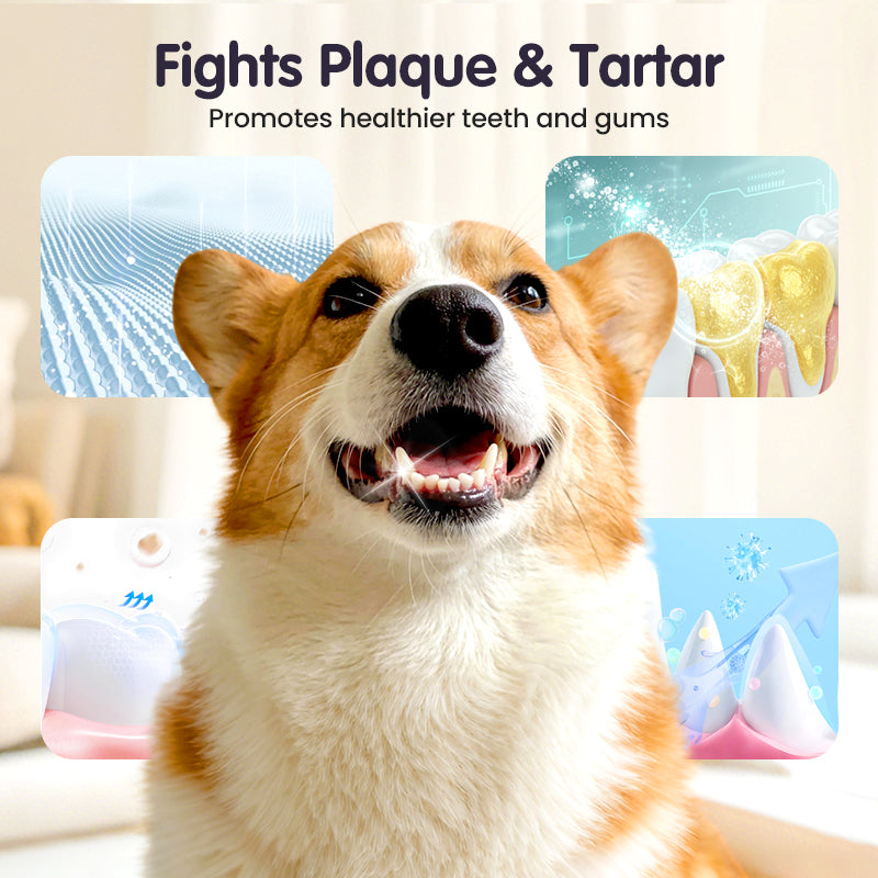 Cilifer®   🔥2026 New Arrivals: 50% Off for a Limited Time!🔥Teeth Cleaning Spray for Pets