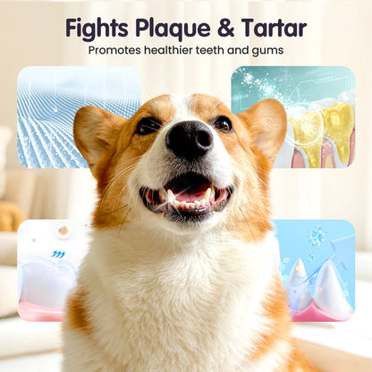 Cilifer®   🔥2026 New Arrivals: 50% Off for a Limited Time!🔥Teeth Cleaning Spray for Pets
