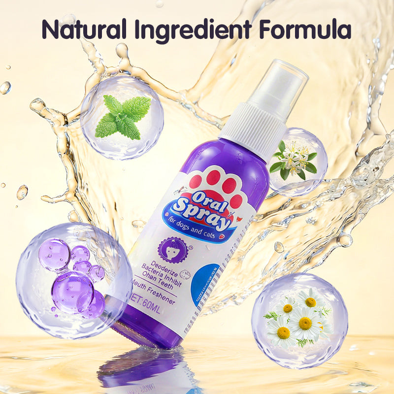 Cilifer®   🔥2026 New Arrivals: 50% Off for a Limited Time!🔥Teeth Cleaning Spray for Pets