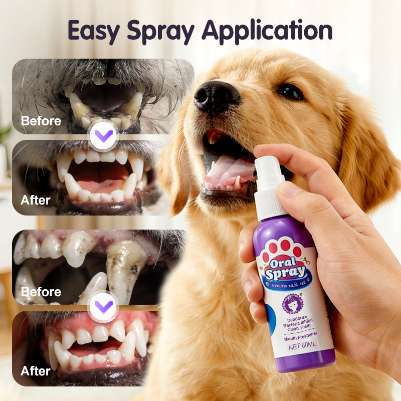 Cilifer®   🔥2026 New Arrivals: 50% Off for a Limited Time!🔥Teeth Cleaning Spray for Pets